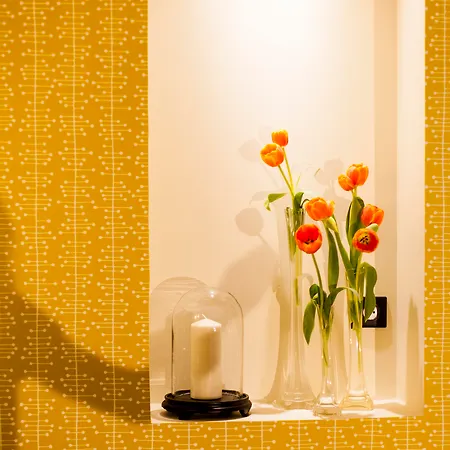 Maison Volver Hotel Arles